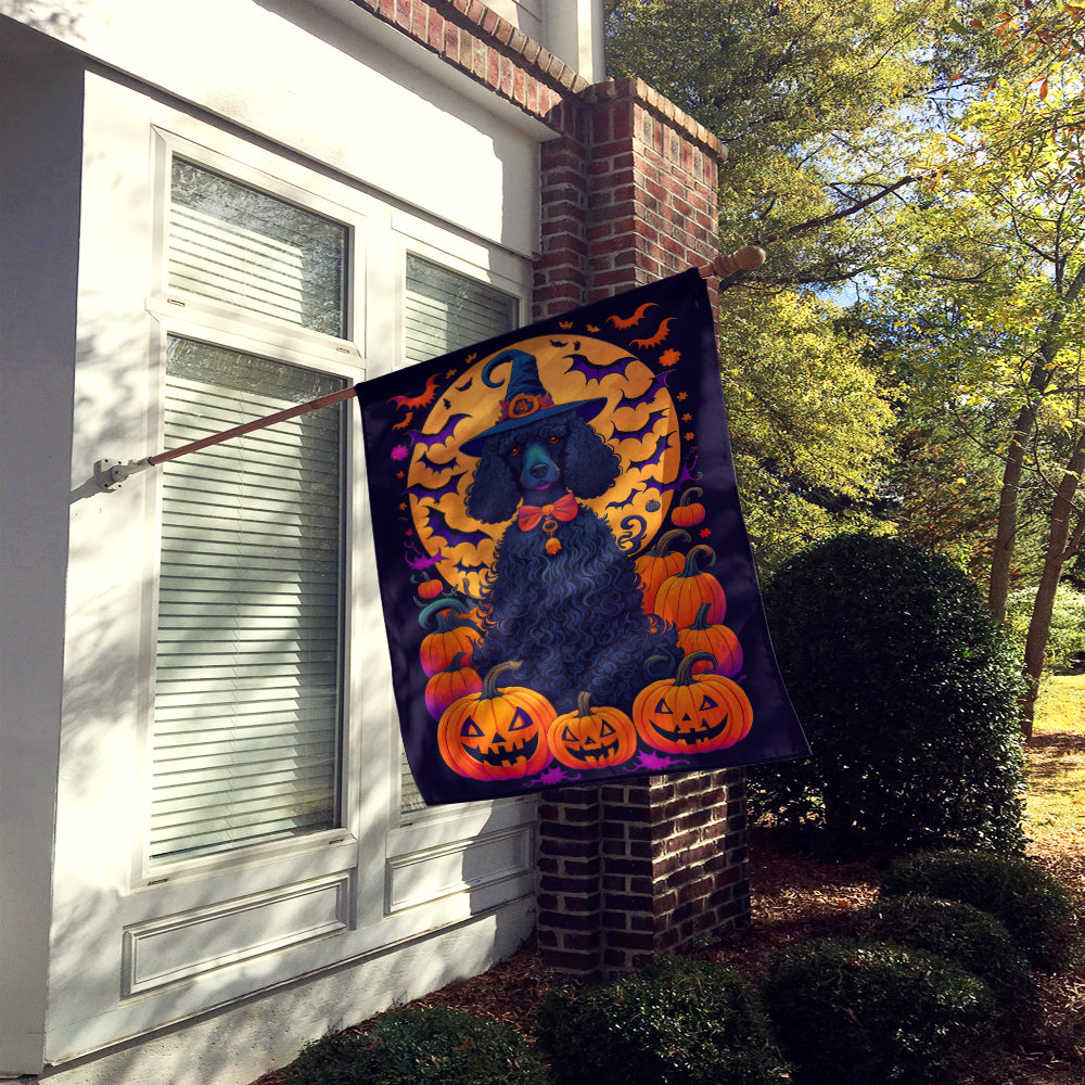 Buy this Black Standard Poodle Witchy Halloween House Flag