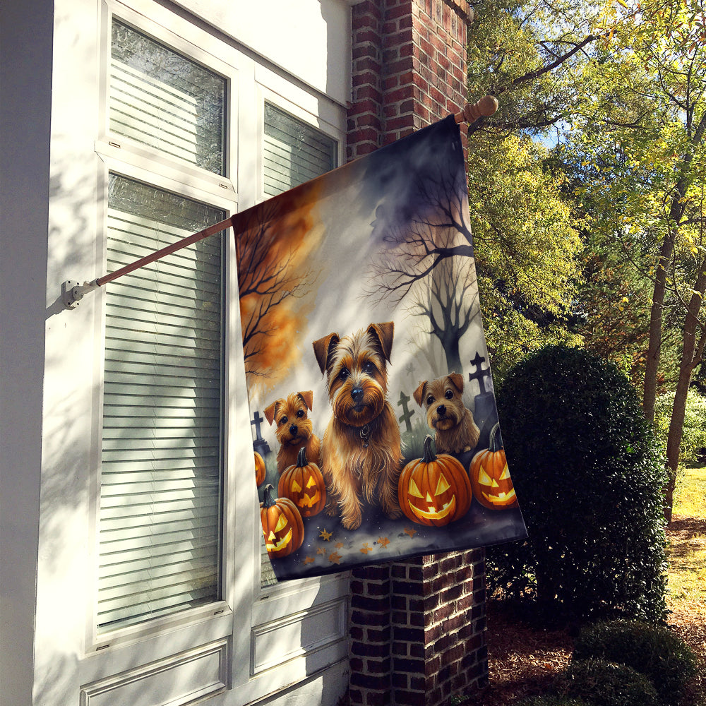 Buy this Norfolk Terrier Spooky Halloween House Flag