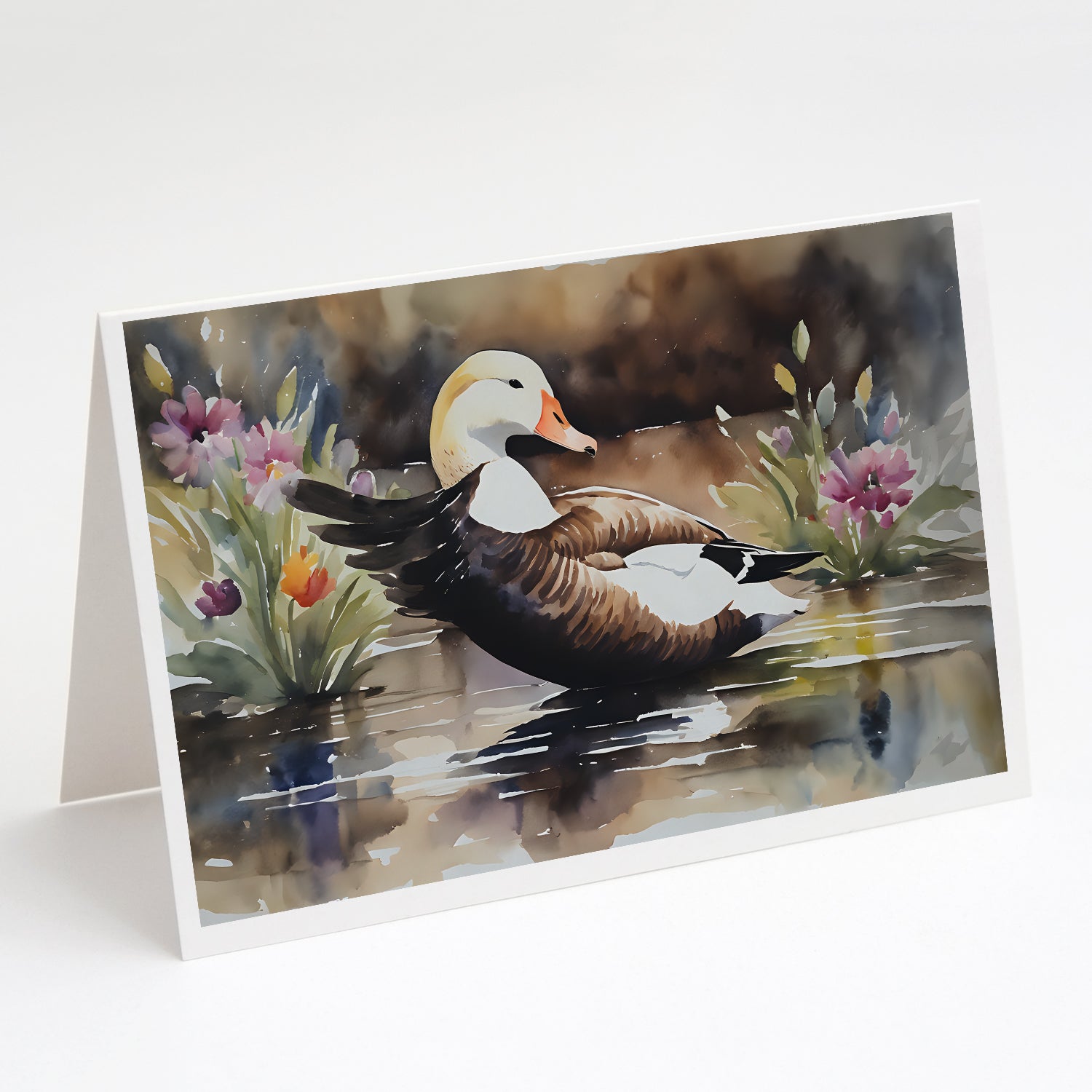 Buy this Common Eider Duck Greeting Cards Pack of 8