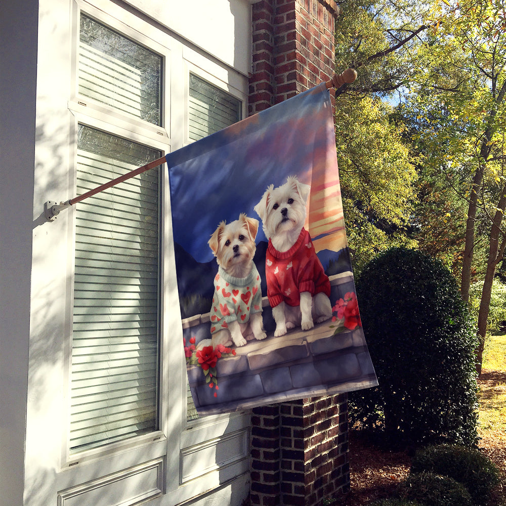 Buy this Maltese Two Hearts House Flag
