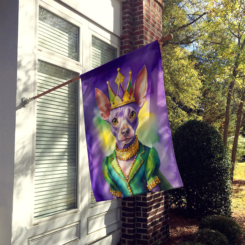 Buy this American Hairless Terrier King of Mardi Gras House Flag