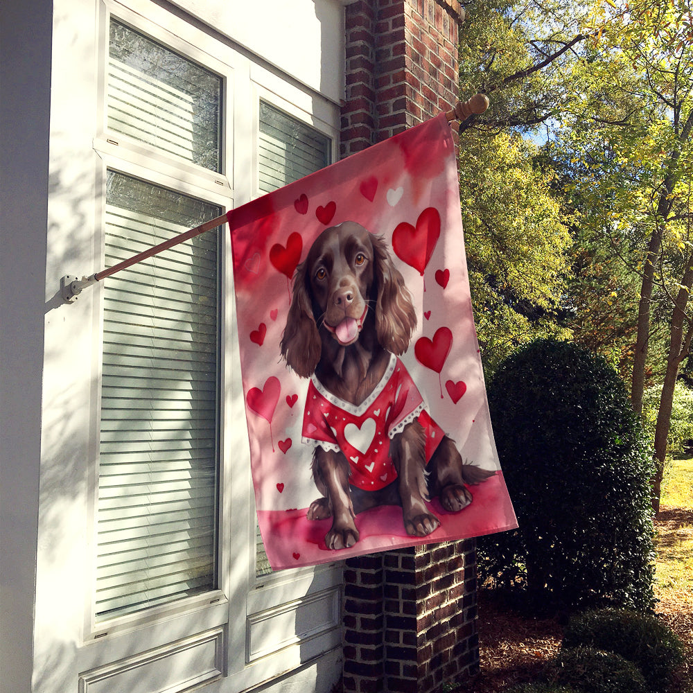 Buy this Boykin Spaniel My Valentine House Flag