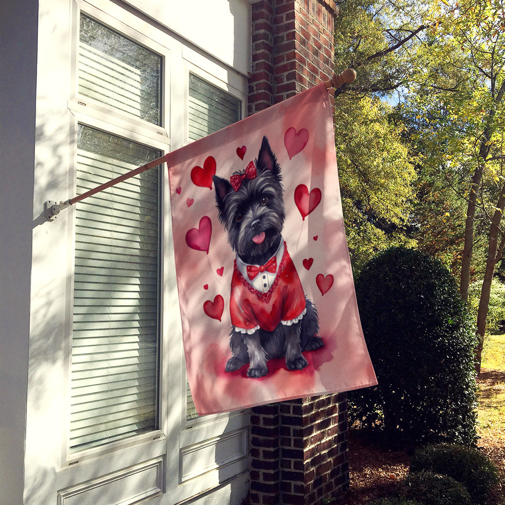 Buy this Cairn Terrier My Valentine House Flag