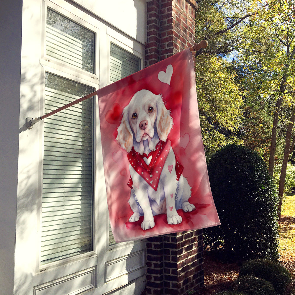 Buy this Clumber Spaniel My Valentine House Flag