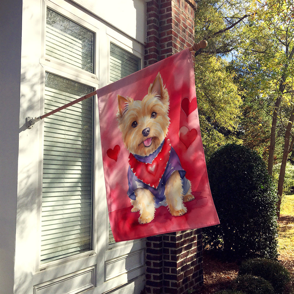Buy this Norwich Terrier My Valentine House Flag