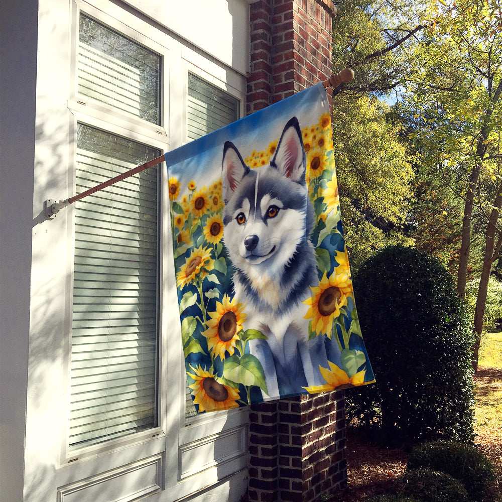 Buy this Alaskan Klee Kai in Sunflowers House Flag