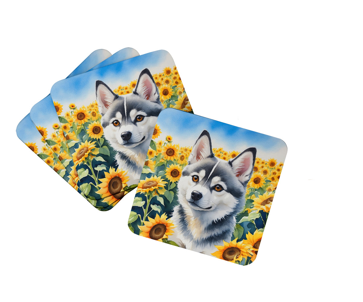 Buy this Alaskan Klee Kai in Sunflowers Foam Coasters