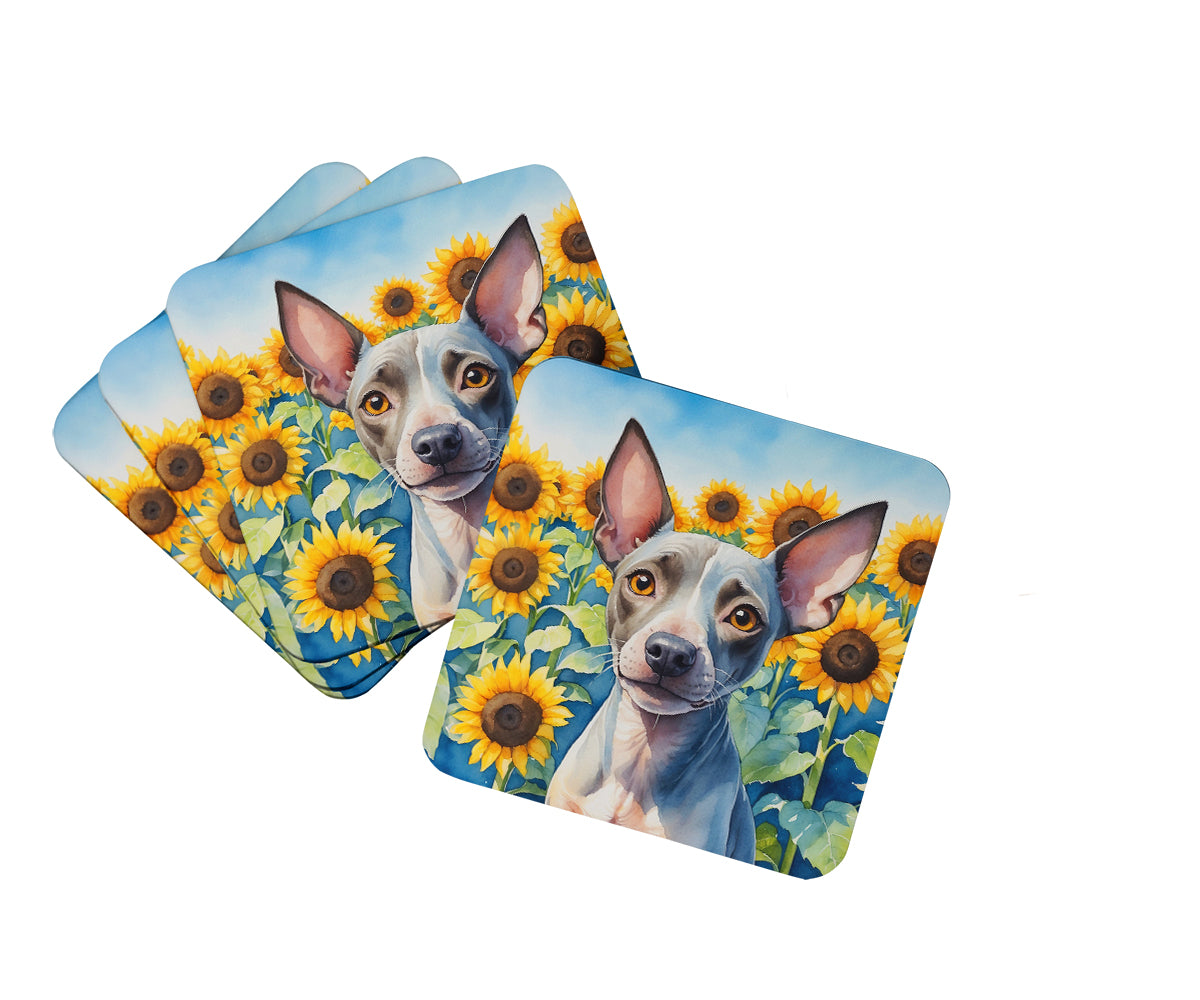 Buy this American Hairless Terrier in Sunflowers Foam Coasters