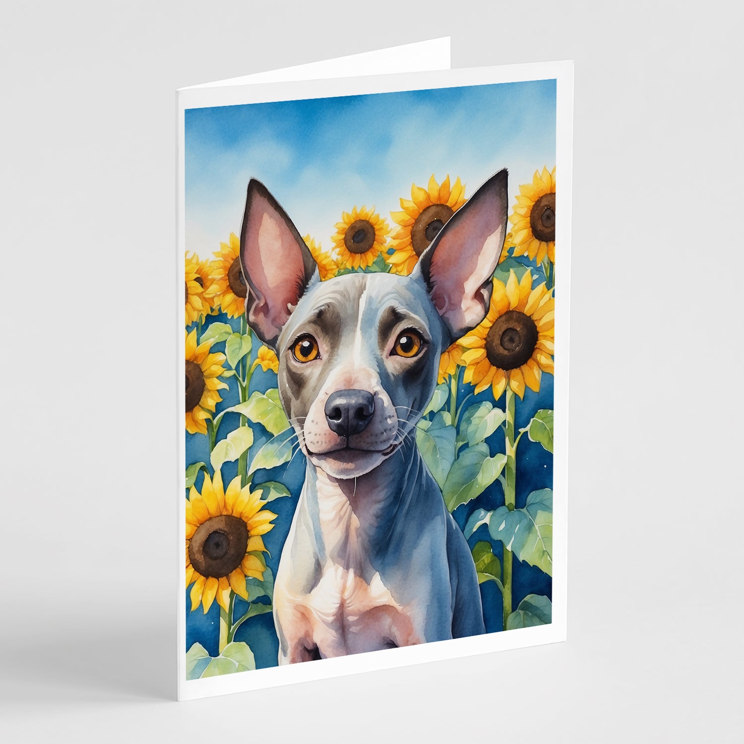 Buy this American Hairless Terrier in Sunflowers Greeting Cards Pack of 8