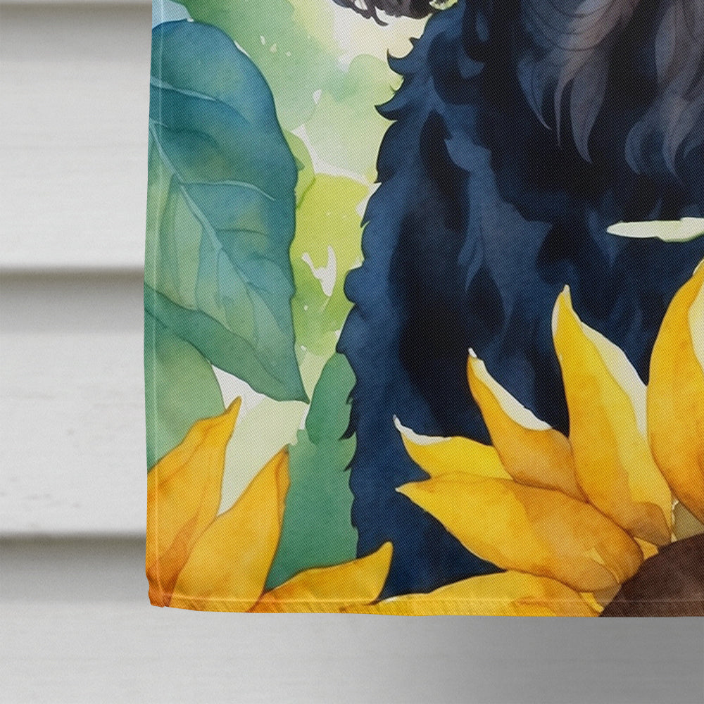 American Water Spaniel in Sunflowers House Flag
