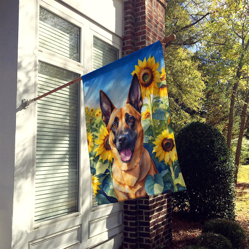 Buy this Belgian Malinois in Sunflowers House Flag