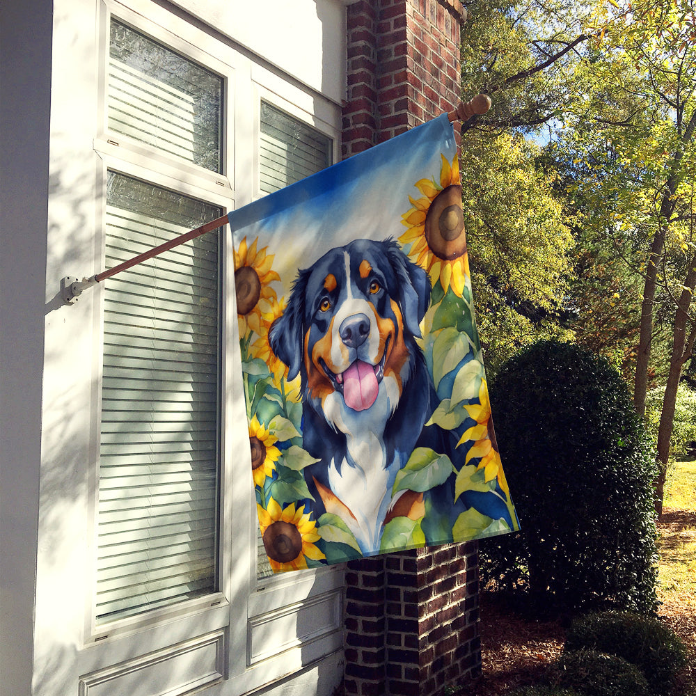 Buy this Bernese Mountain Dog in Sunflowers House Flag