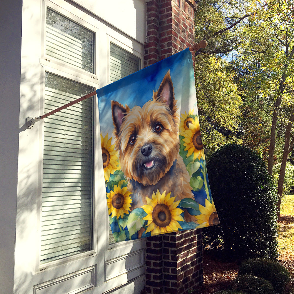 Buy this Cairn Terrier in Sunflowers House Flag