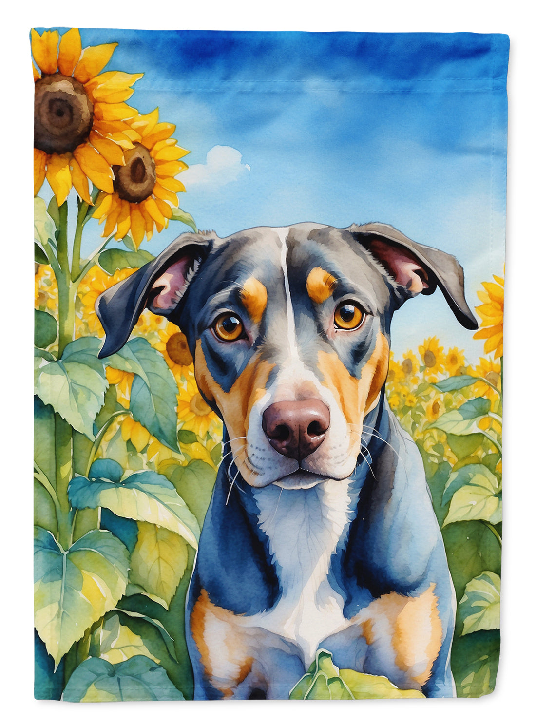 Buy this Catahoula in Sunflowers House Flag