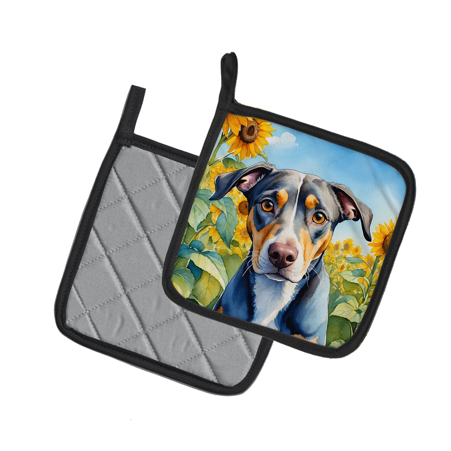 Catahoula in Sunflowers Pair of Pot Holders