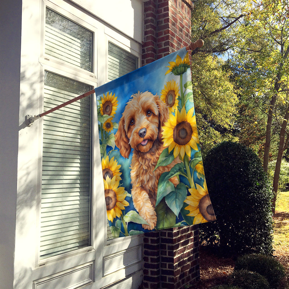 Buy this Cockapoo in Sunflowers House Flag