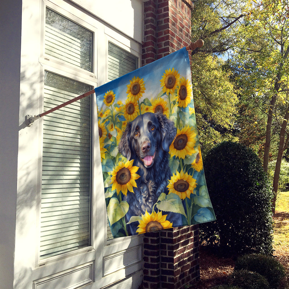 Curly-Coated Retriever in Sunflowers House Flag