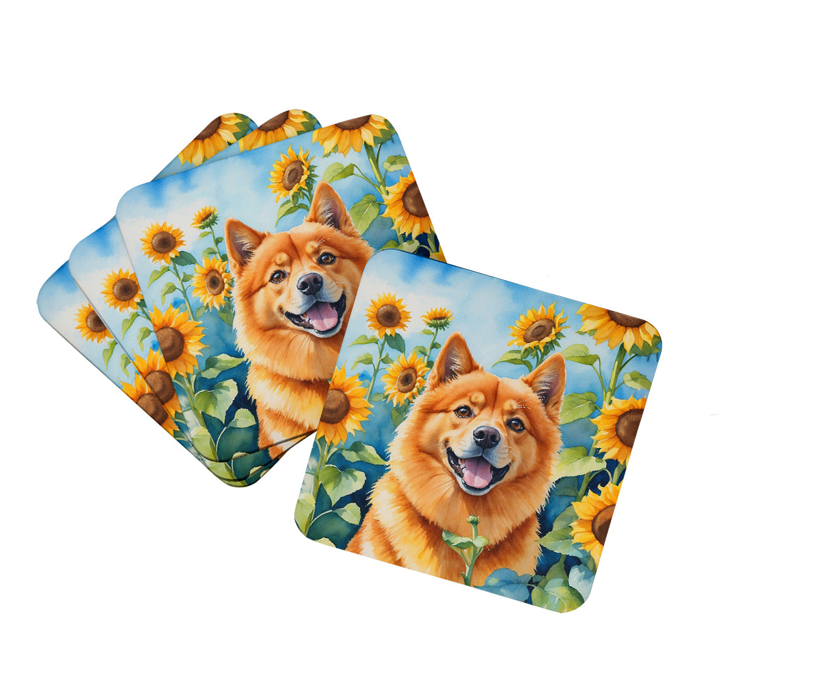 Buy this Finnish Spitz in Sunflowers Foam Coasters