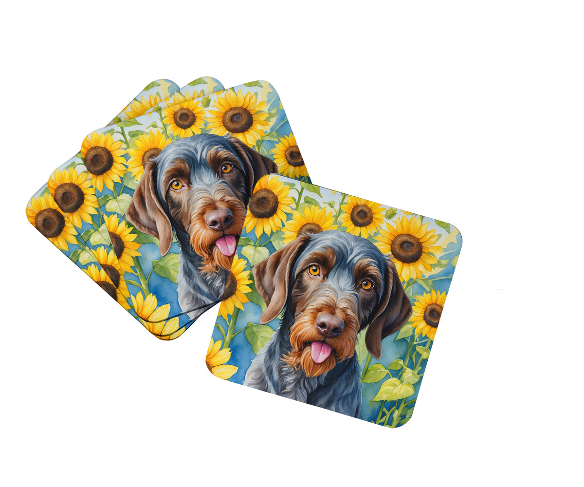 Buy this German Wirehaired Pointer in Sunflowers Foam Coasters