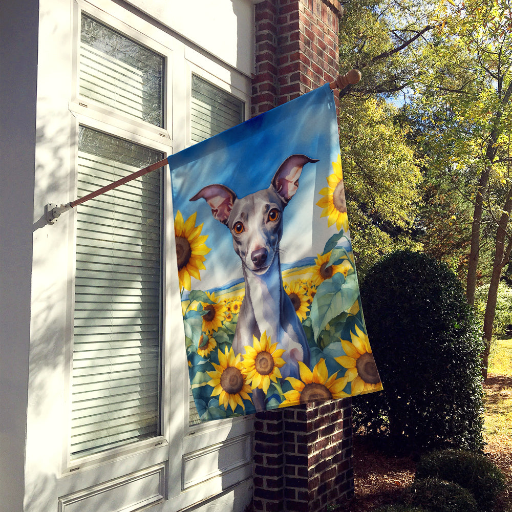 Italian Greyhound in Sunflowers House Flag