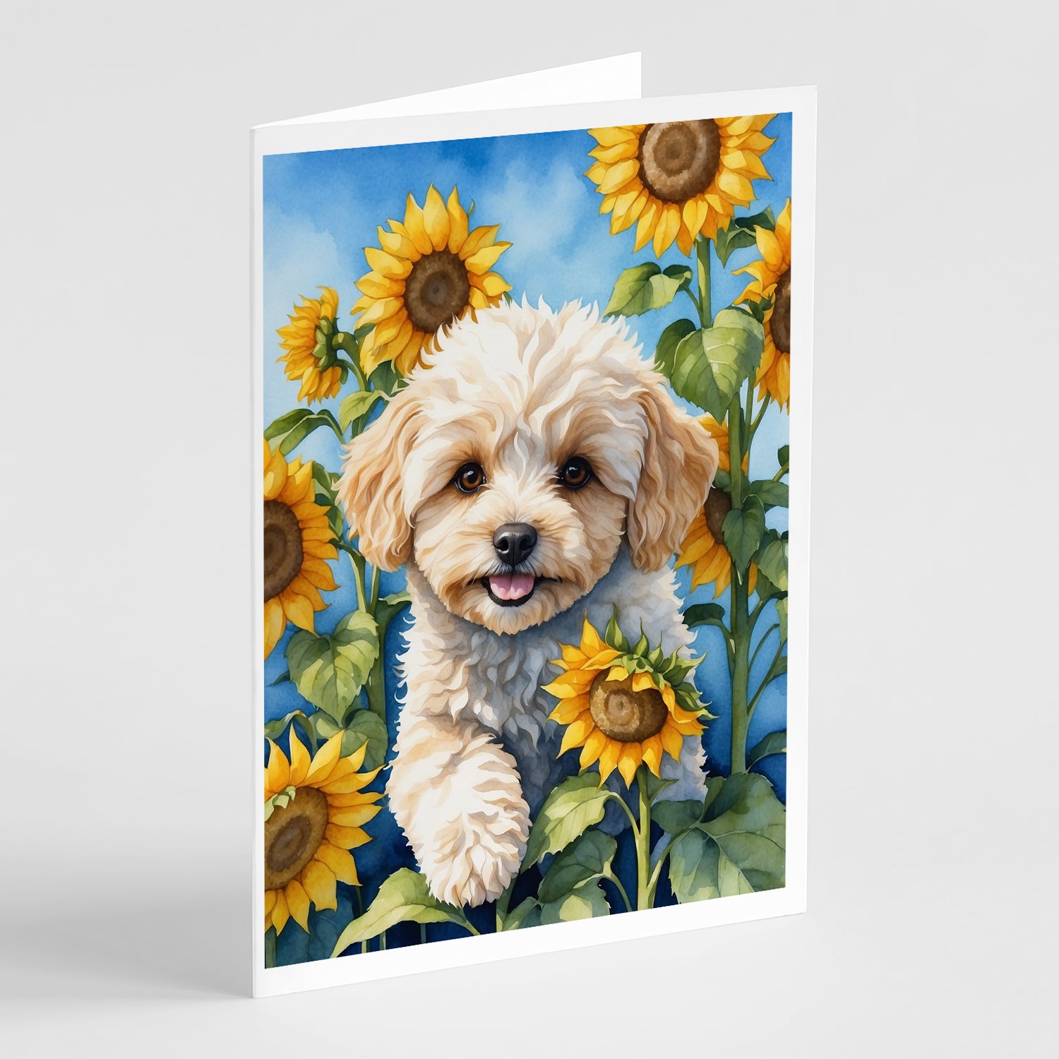 Buy this Maltipoo in Sunflowers Greeting Cards Pack of 8