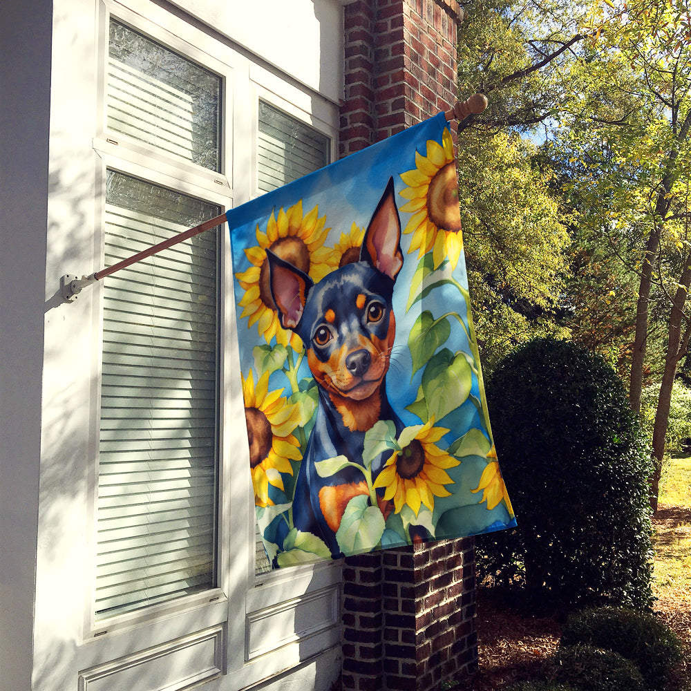 Buy this Miniature Pinscher in Sunflowers House Flag