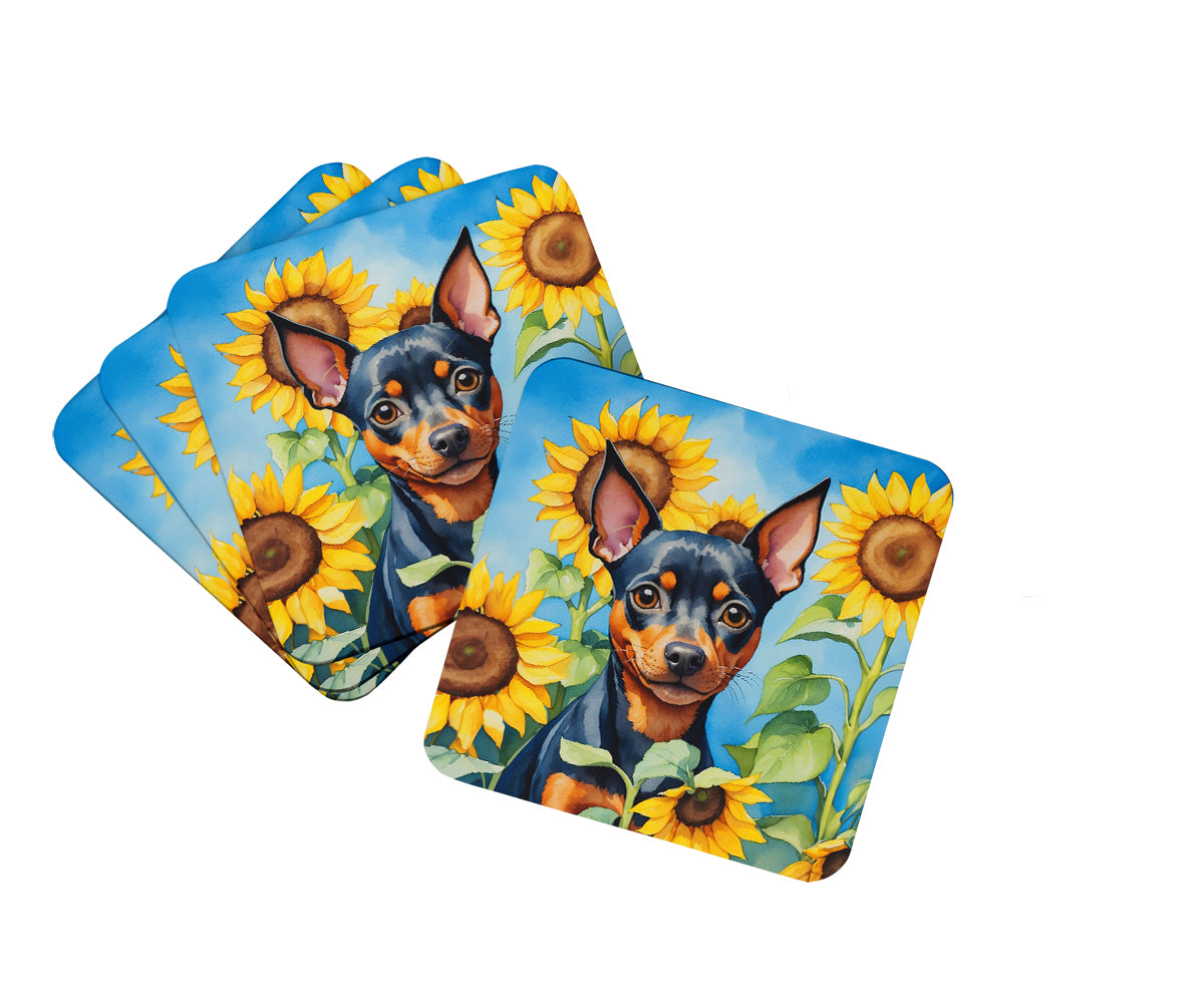 Buy this Miniature Pinscher in Sunflowers Foam Coasters