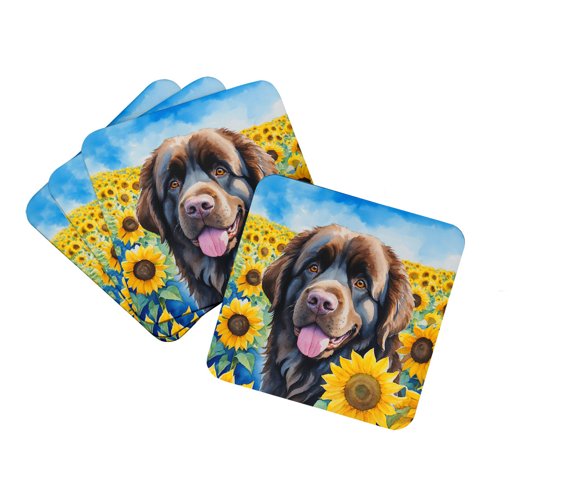 Buy this Newfoundland in Sunflowers Foam Coasters