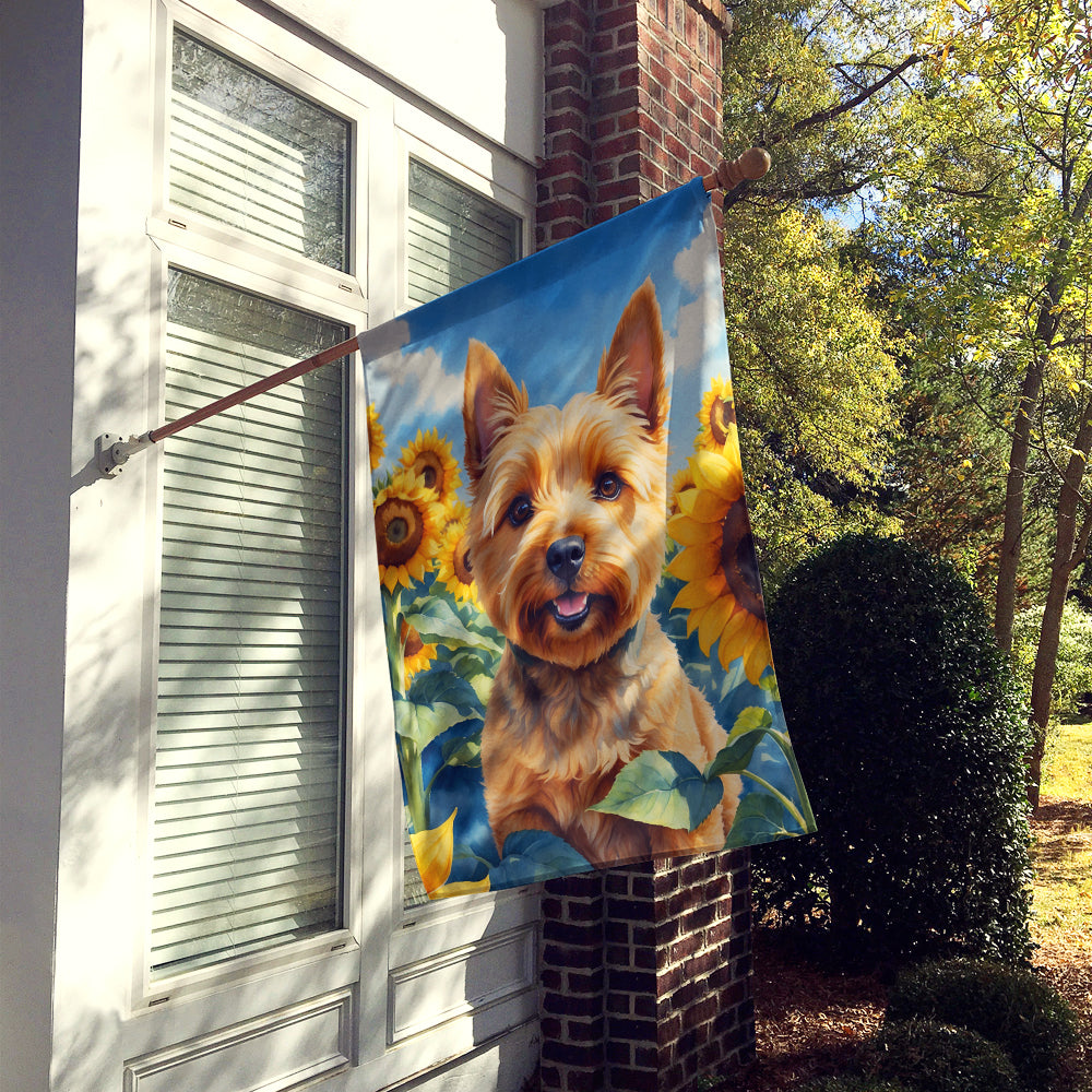 Buy this Norwich Terrier in Sunflowers House Flag