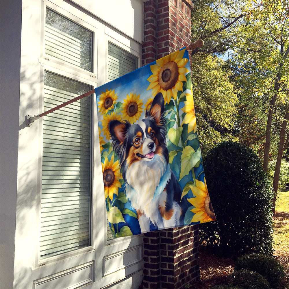 Buy this Papillon in Sunflowers House Flag