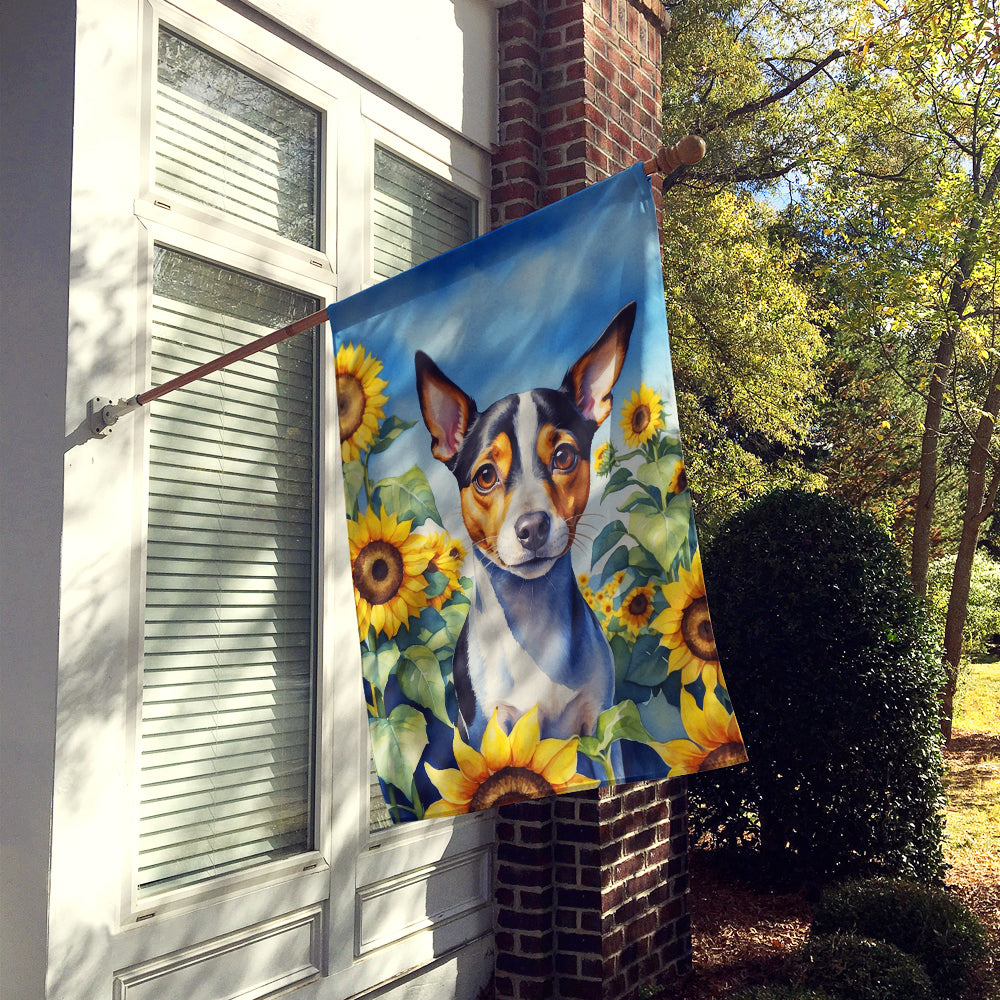 Rat Terrier in Sunflowers House Flag