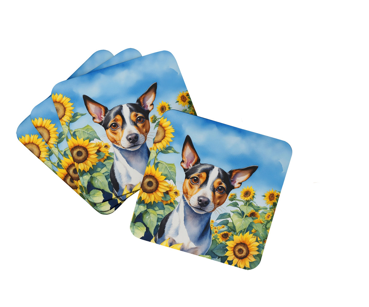 Buy this Rat Terrier in Sunflowers Foam Coasters