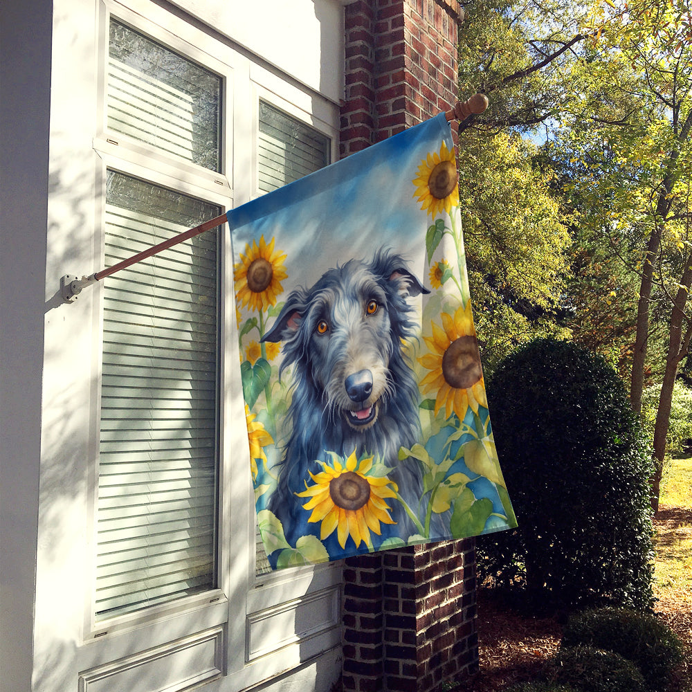 Buy this Scottish Deerhound in Sunflowers House Flag