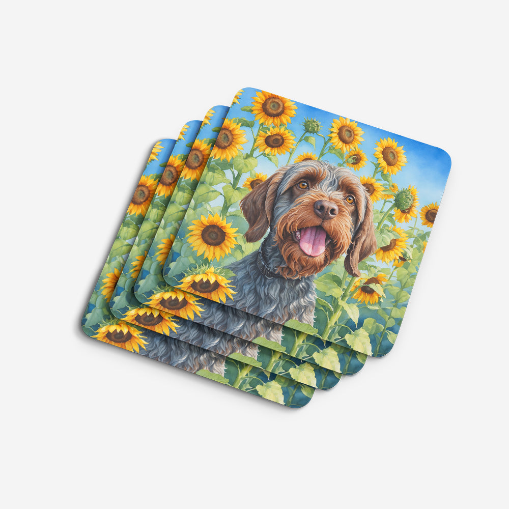 Wirehaired Pointing Griffon in Sunflowers Foam Coasters