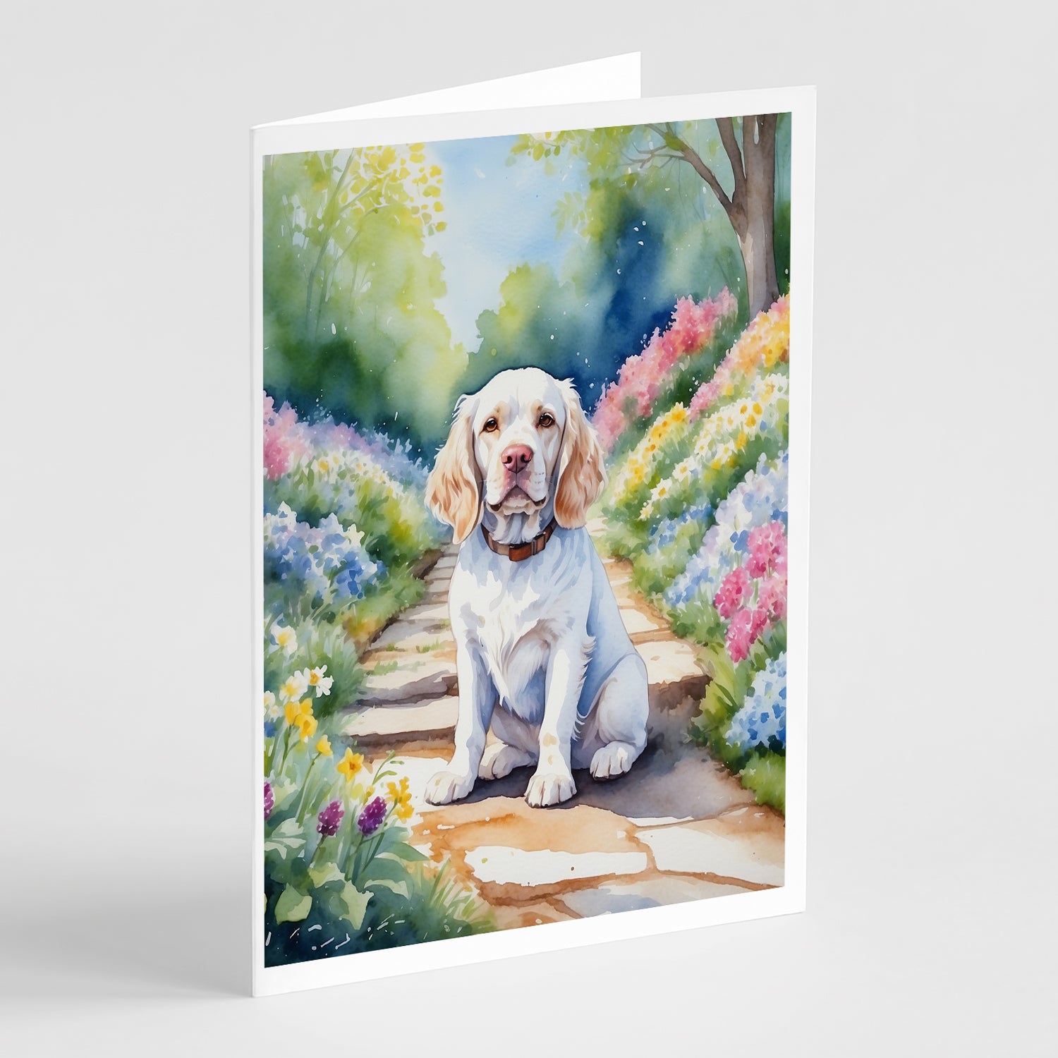 Buy this Clumber Spaniel Spring Path Greeting Cards Pack of 8