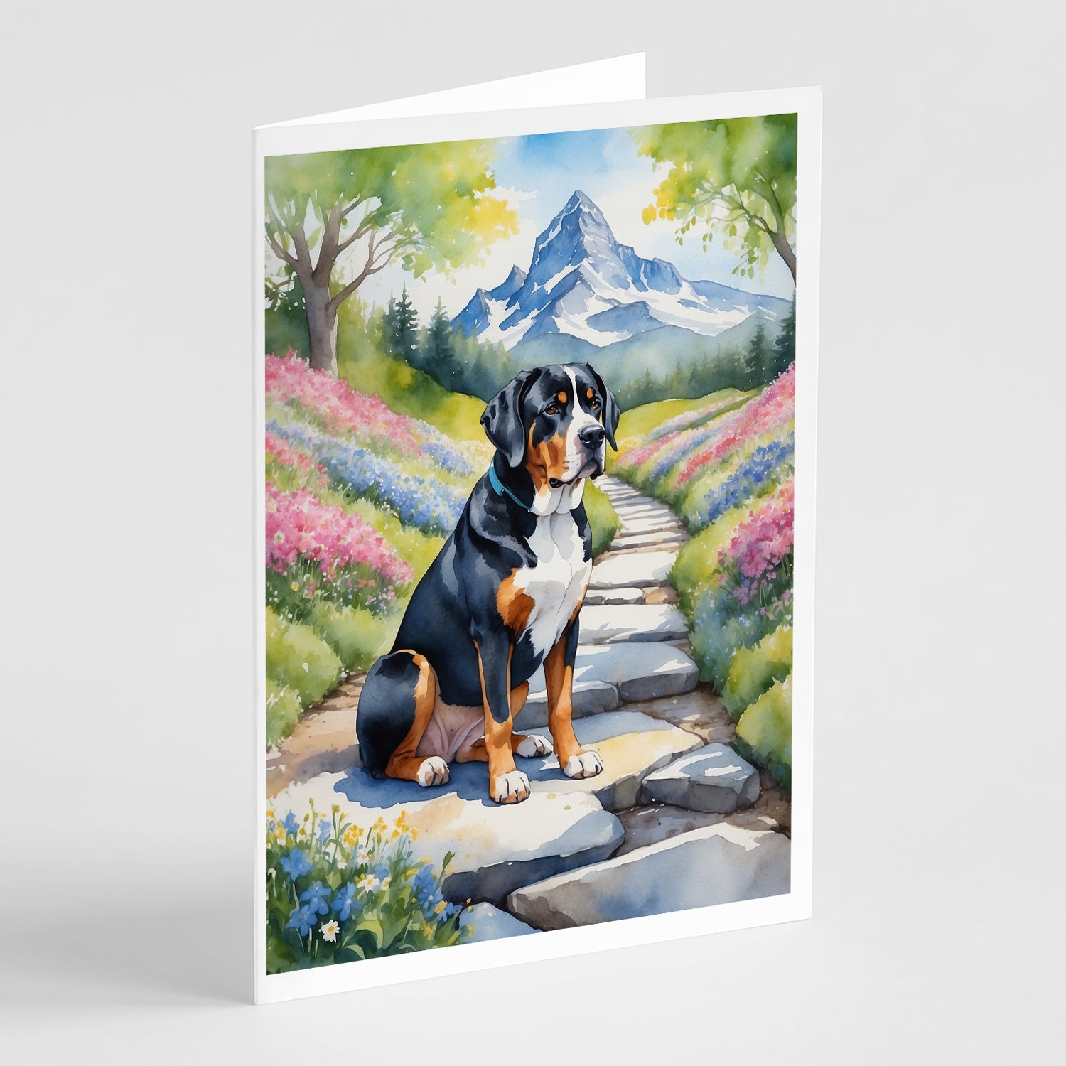Buy this Greater Swiss Mountain Dog Spring Path Greeting Cards Pack of 8