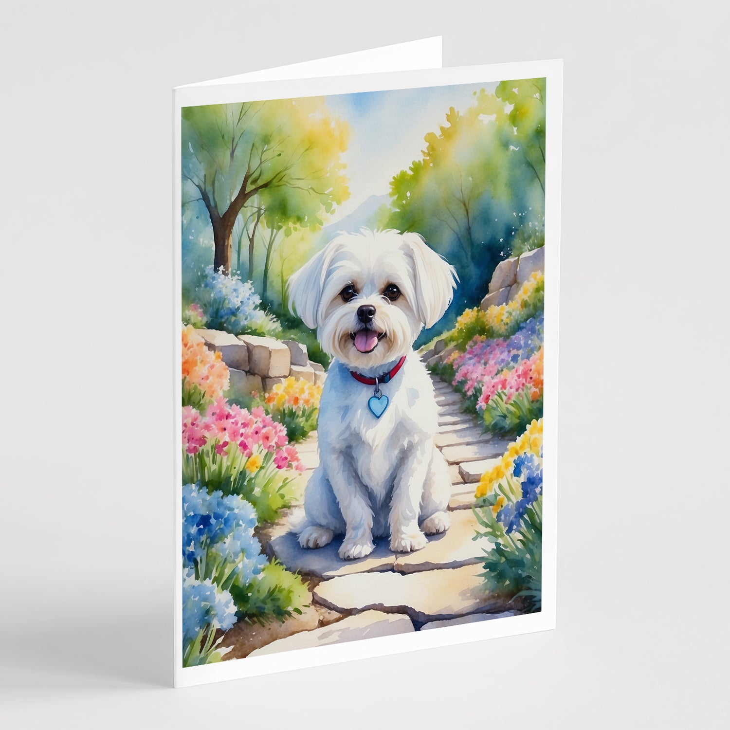 Buy this Maltese Spring Path Greeting Cards Pack of 8