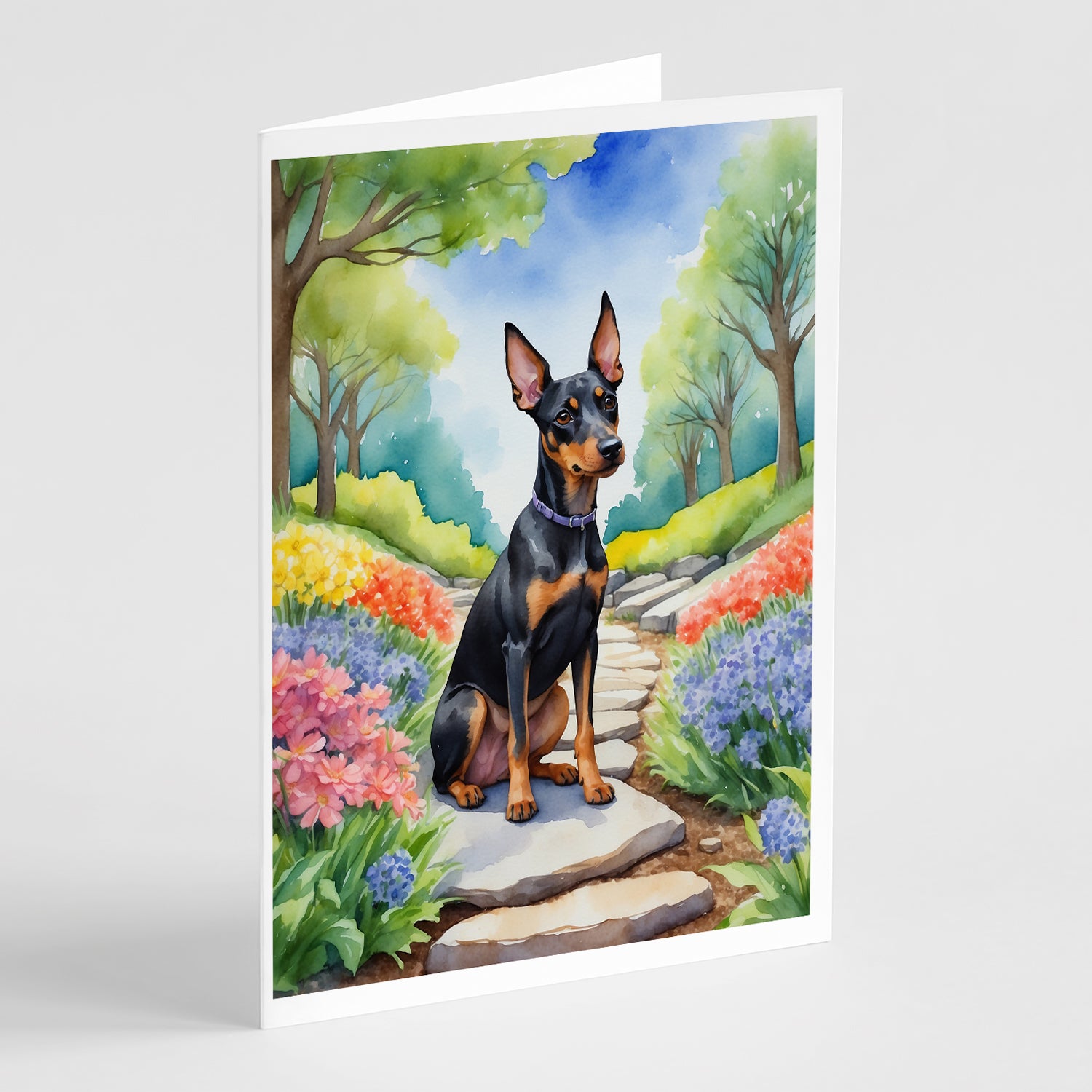 Buy this Manchester Terrier Spring Path Greeting Cards Pack of 8
