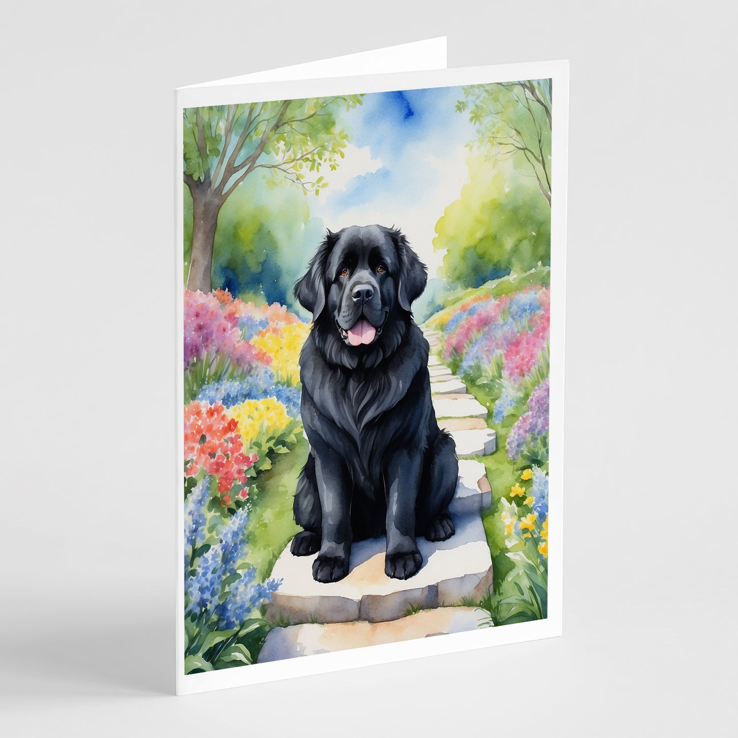 Buy this Newfoundland Spring Path Greeting Cards Pack of 8