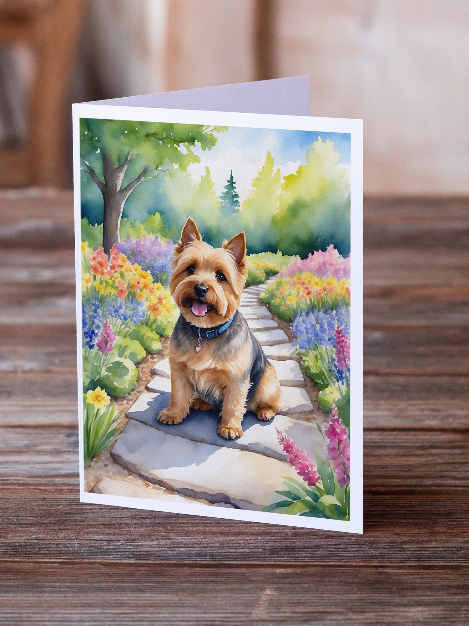 Buy this Norwich Terrier Spring Path Greeting Cards Pack of 8