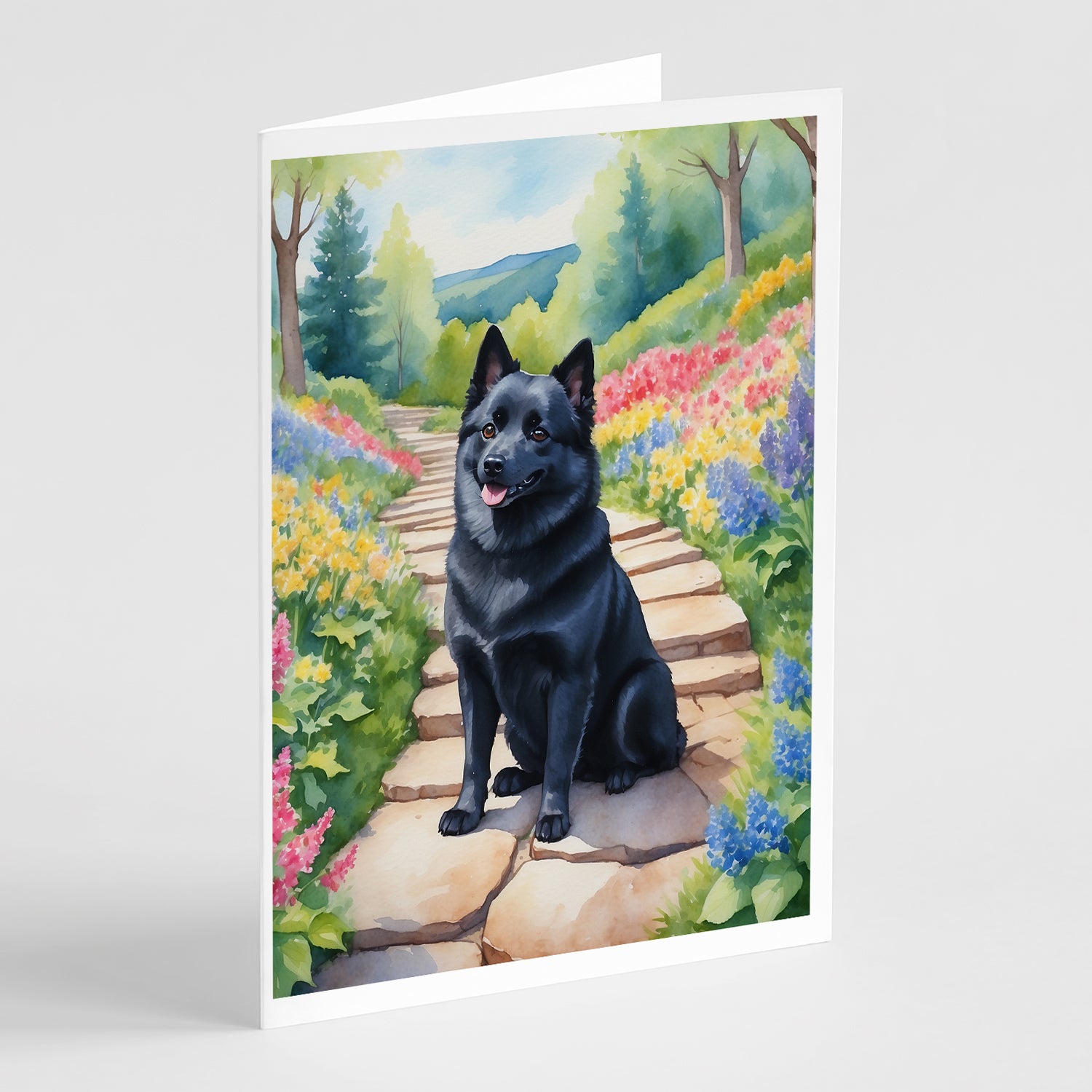 Buy this Schipperke Spring Path Greeting Cards Pack of 8