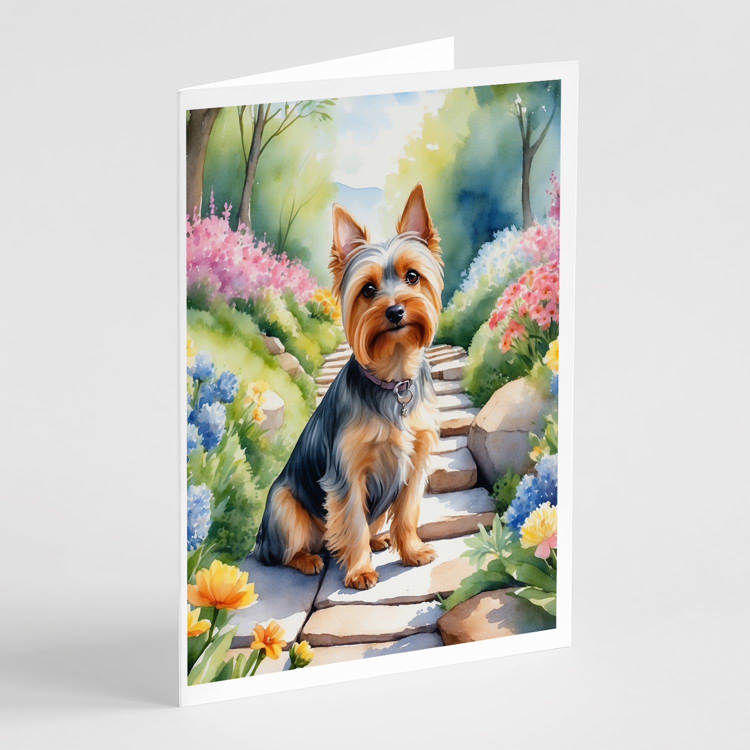 Buy this Silky Terrier Spring Path Greeting Cards Pack of 8