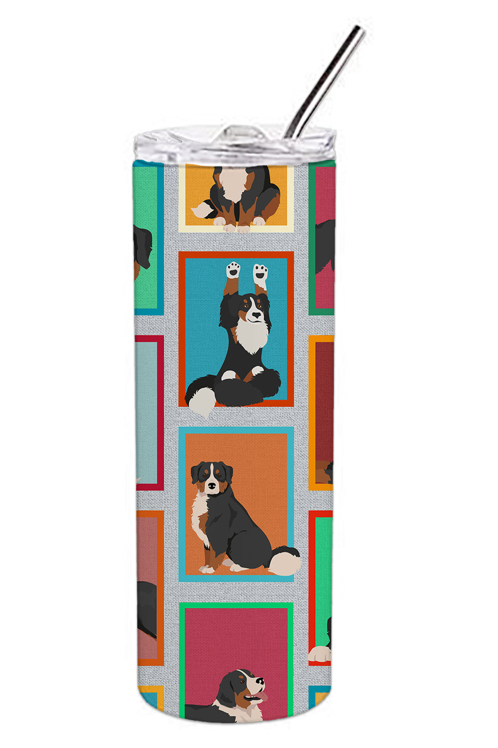 Buy this Lots of Bernese Mountain Dog Stainless Steel 20 oz Skinny Tumbler