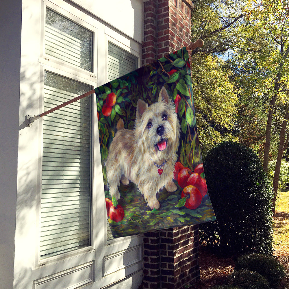 Cairn Terrier Apples Flag Canvas House Size PPP3042CHF