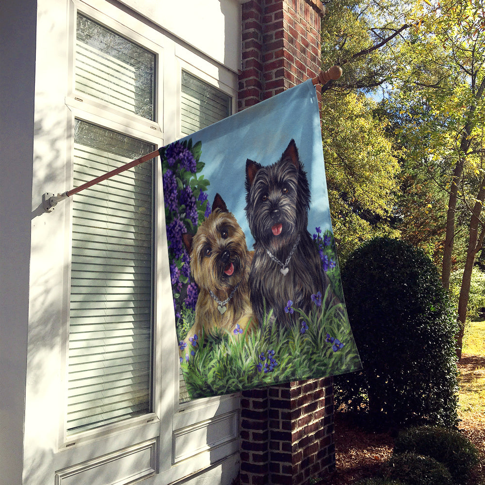 Cairn Terrier Donation Flag Canvas House Size PPP3049CHF