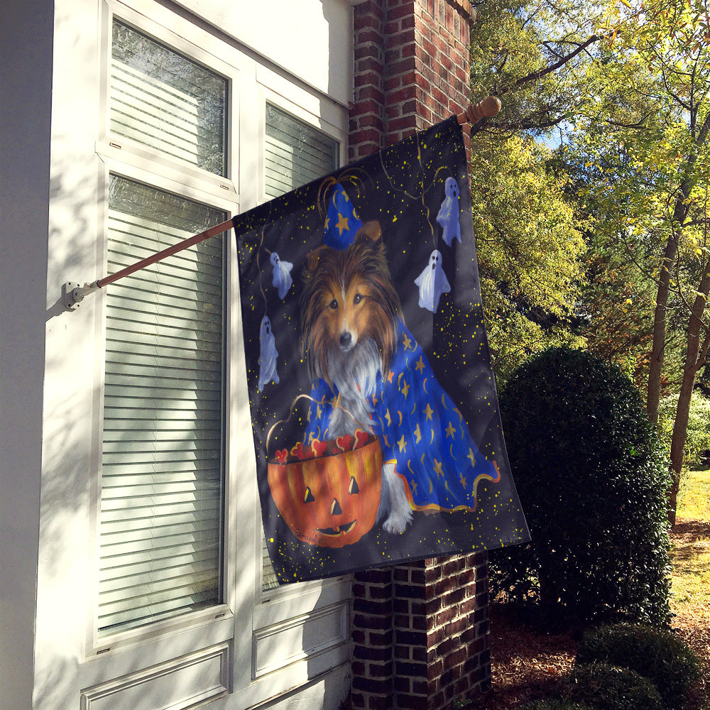 Sheltie Halloween Witch Flag Canvas House Size PPP3186CHF