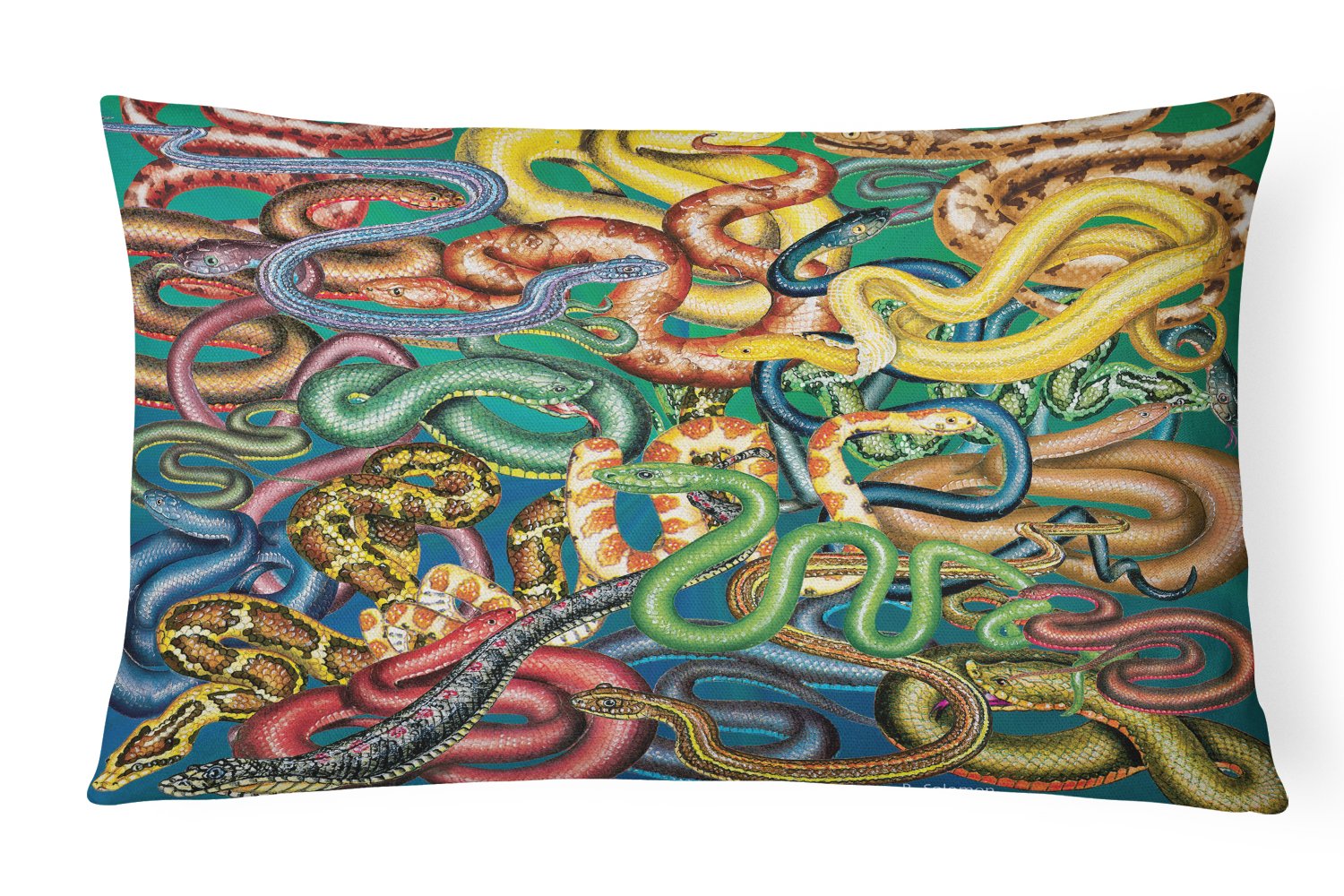 Snakes Canvas Fabric Decorative Pillow PRS4031PW1216 by Caroline's Treasures