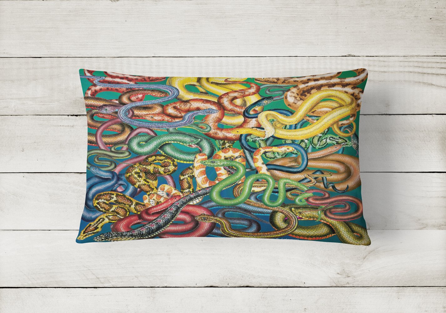 Snakes Canvas Fabric Decorative Pillow PRS4031PW1216 by Caroline's Treasures
