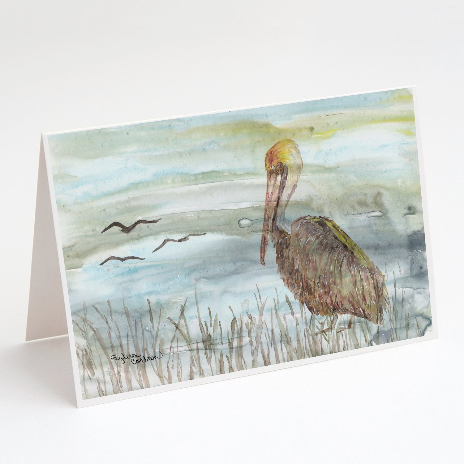 Buy this Brown Pelican Watercolor Greeting Cards and Envelopes Pack of 8