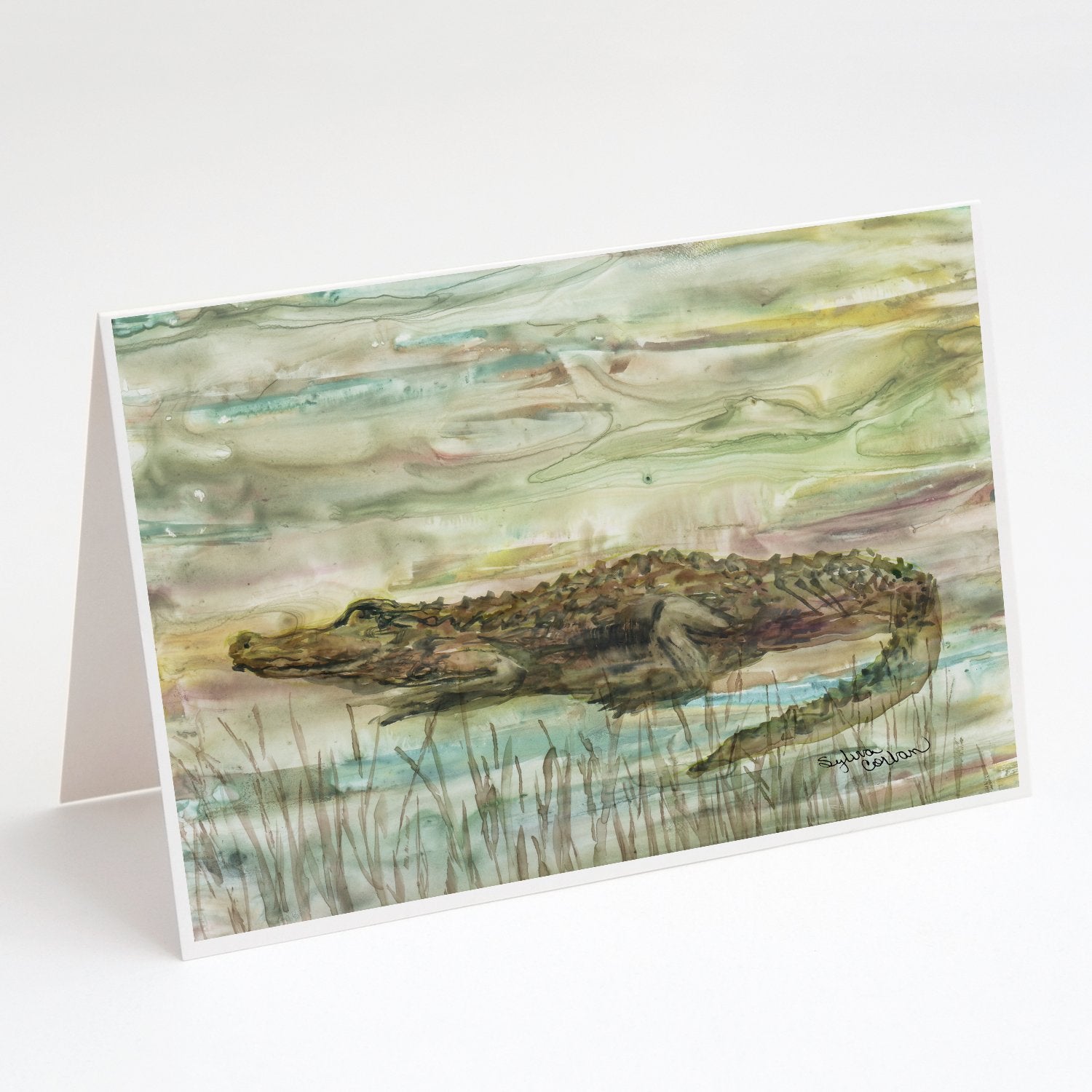 Buy this Alligator Sunset Greeting Cards and Envelopes Pack of 8